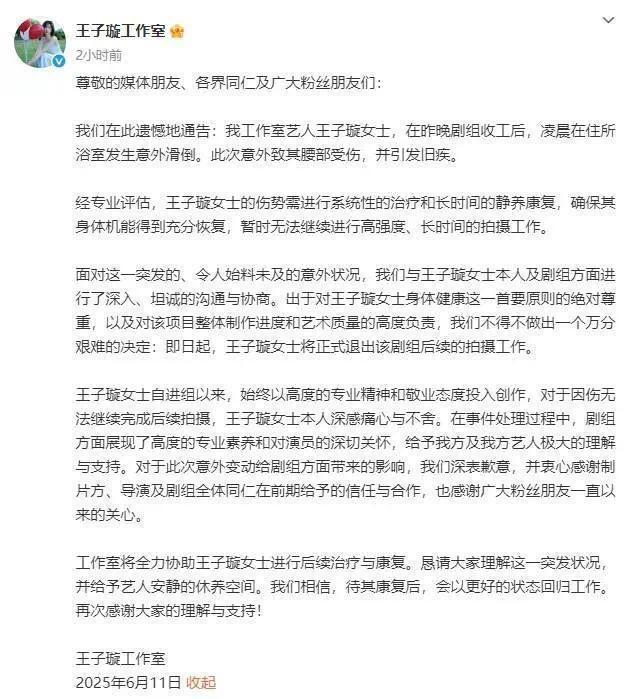 王子璇腰伤旧疾复发 无奈退出新剧拍摄静养治疗