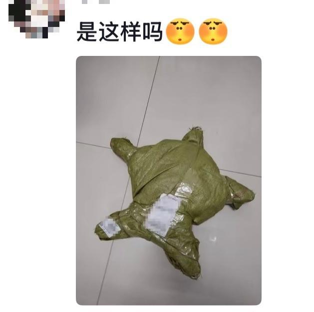 爸妈笑了半小时才舍得寄过来：家人的爱与惊喜