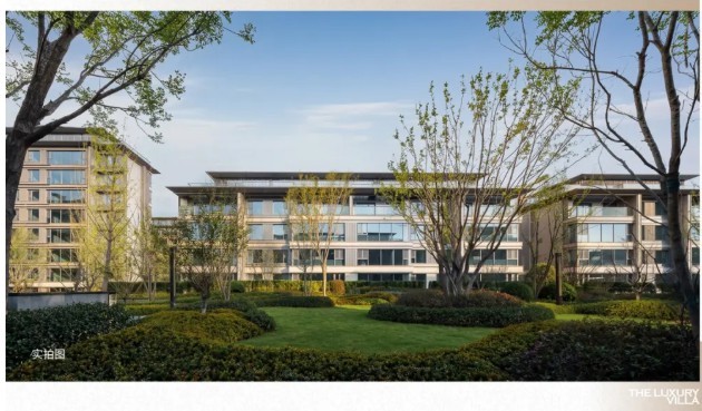 20251230101139545798.jpg 8.jpg