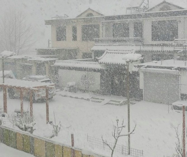 山东下大雪把车都埋了 居民被迫在严寒中开展“挖车自救”行动