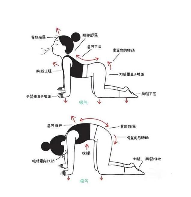 为何有些女性后腰有两个“凹点”，而有些女性却没有呢？早看早好