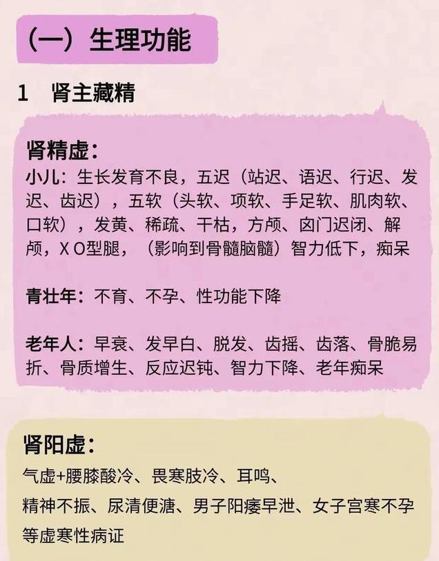 中医基础—肾系统