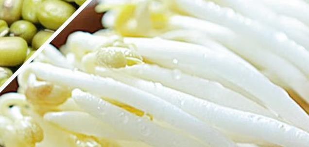 买豆芽时别随便选！黄豆芽和绿豆芽大不同，吃货必看区别解析！