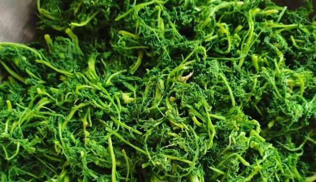 春天最强野菜来袭！麦蒿“野菜皇后”清热养肝健胃，春季必吃！