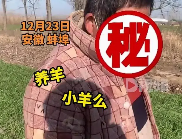 男子偷割他人麦苗喂羊，民警：这可是粮食，你不知道啊