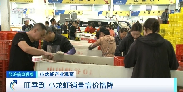 小龙虾价格腰斩还会再降 旺季销量激增