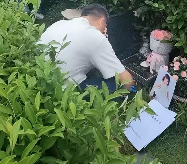 杭州坠亡女童父亲:她居然不用坐牢