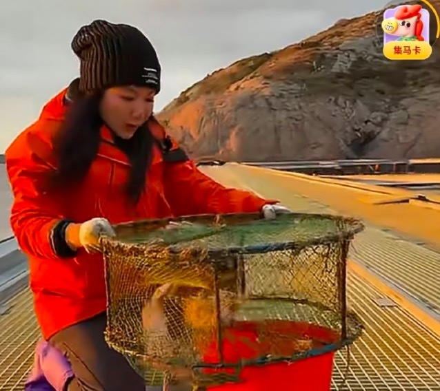 在北京作念了20年房地产后到舟山守岛