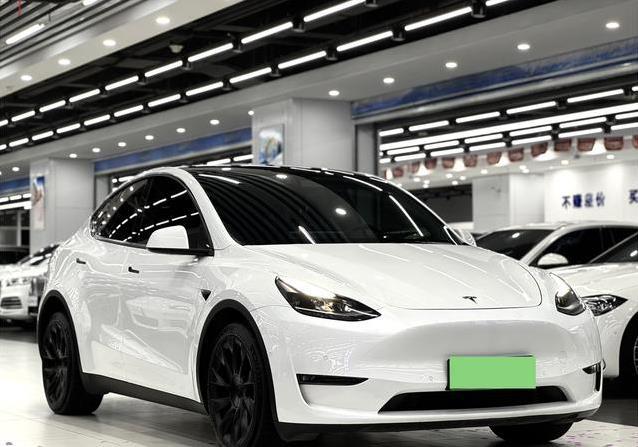 17万入手特斯拉Model Y，省钱又拉风，值不值得买？