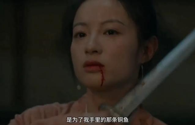 藏海识破第三人阴谋，赵秉文暗藏真面目，铜鱼秘密何去何从？