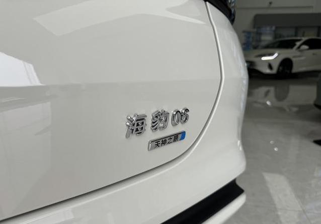 比亚迪海豹06 EV到店开卖，价格11.98万起，真能打赢小鹏？