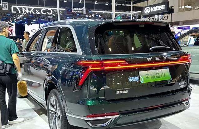 30万预算买大车，蓝山六座科技爆棚，续航263公里够用吗？
