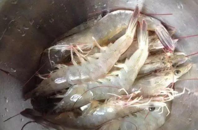 白灼虾鲜嫩不腥的秘密，简单一步完胜饭店，学会后全家夸