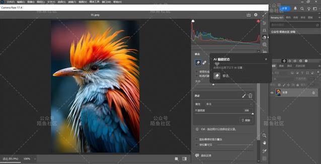 AI修图神器上线，Camera Raw 17.4新功能逆天，你敢试吗？