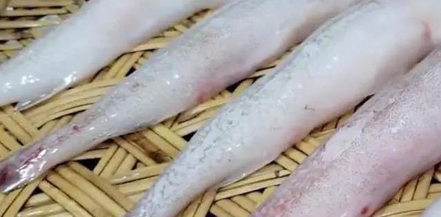 豆腐鱼火爆潮汕，滑嫩无鳞超好吃，你尝过这绝味没？