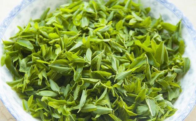 助眠神器酸枣叶茶，喝对很养身，喝错伤肠胃？
