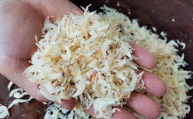 白色虾皮清汤鲜，红色虾皮炒菜香，哪个最好吃？