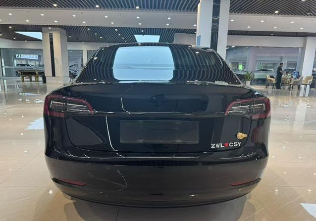 12万买特斯拉Model 3，省油又拉风，真能开回家？