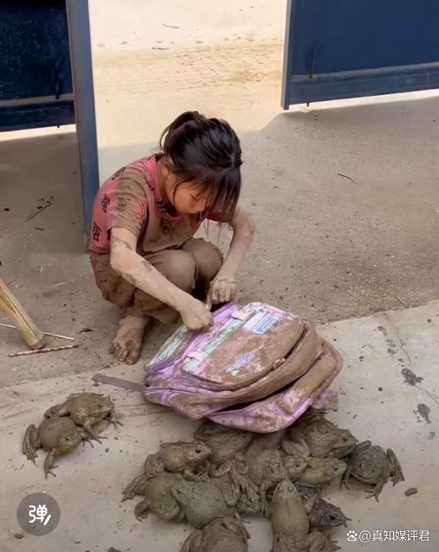 小女孩书包里装满牛蛙 “妈妈，你看，我抓了这么多牛蛙！”
