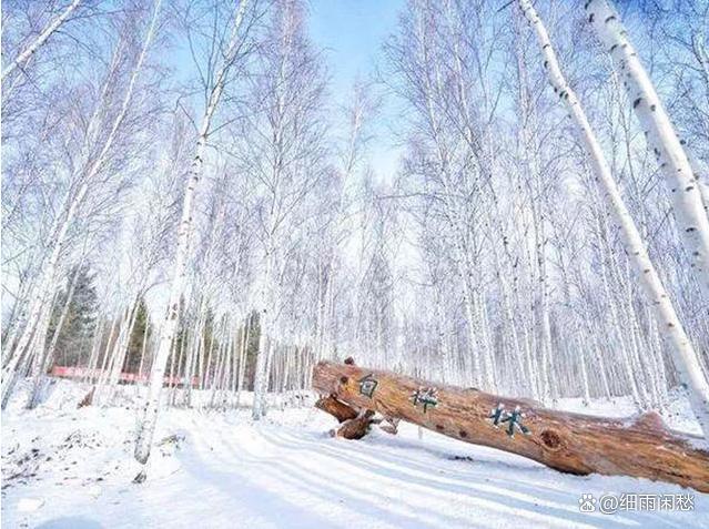 来黑龙江漠河赴冰雪之约 探寻北极村的纯净与奇迹