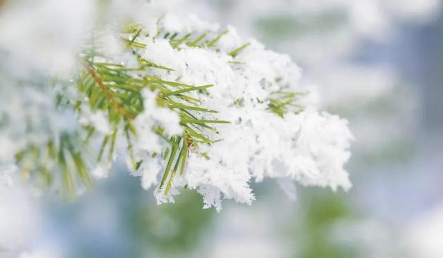 凌晨，“小雪”来了！