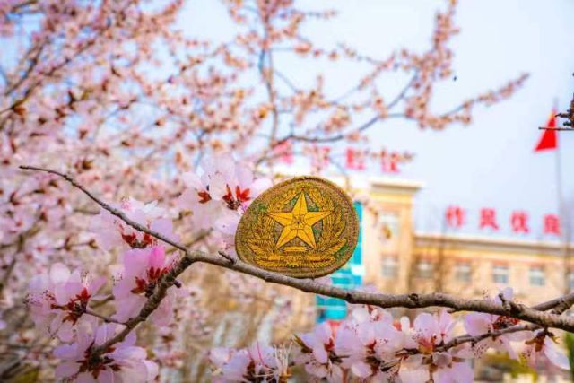 16所军校的春景！