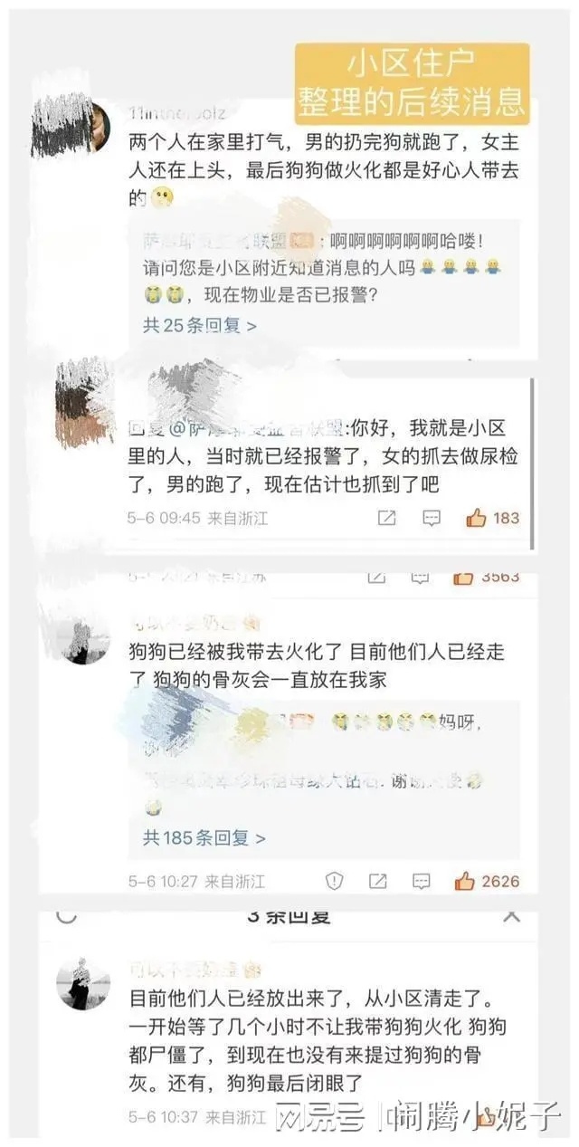 什么人性？？？情侣吵架从8楼将萨摩耶扔下