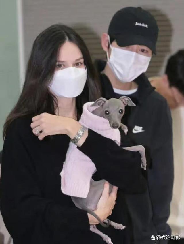 40岁凯蒂再怀孕宋仲基得二胎？ 网友：离婚原因似乎越发明朗了