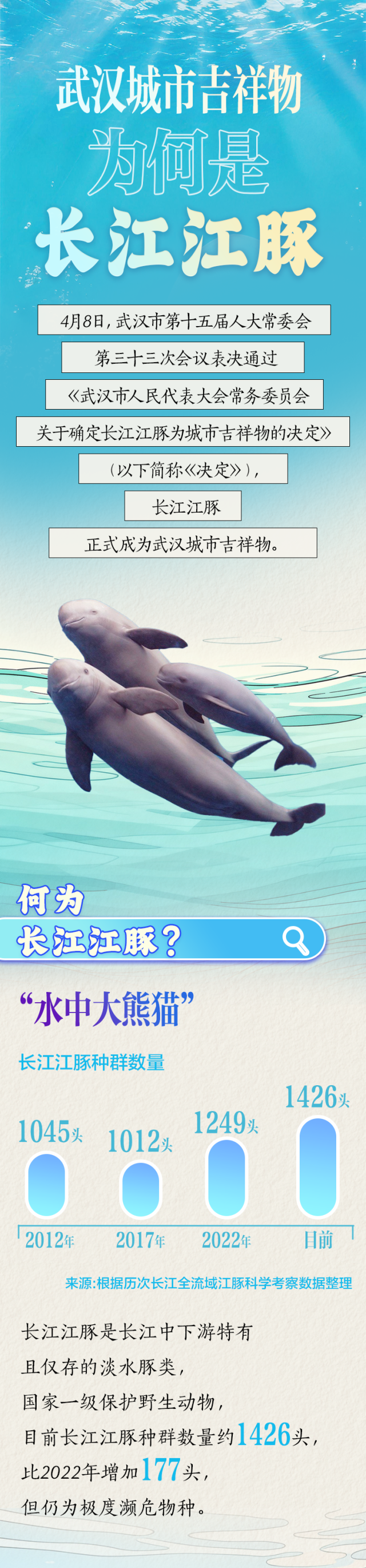 武汉城市吉祥物，为何是长江江豚？