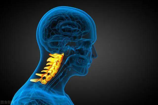 ¡Bajar la cabeza para jugar con el teléfono móvil durante mucho tiempo puede enderezar la "curvatura fisiológica de la columna cervical"!