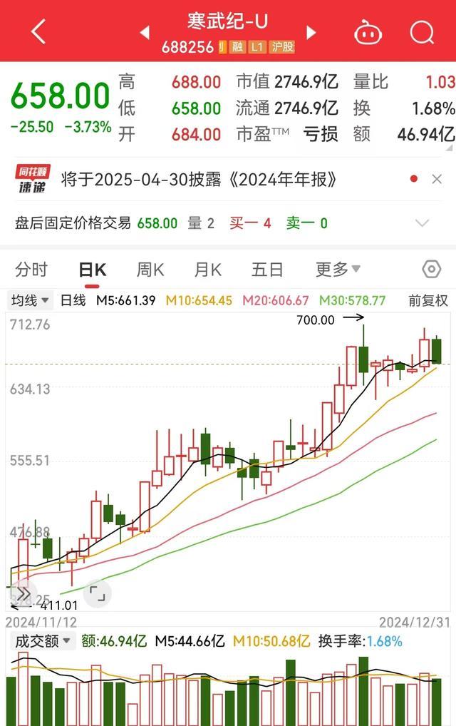 2024年最赚钱股票是它 寒武纪涨幅近4倍