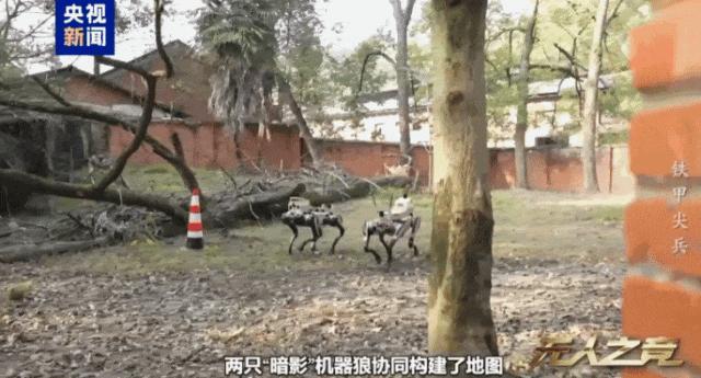 央视披露机器狼巷战演练 硬核实力展现