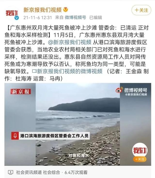 媒体:海滩现大量死鱼与军演无关，视频系21年上传