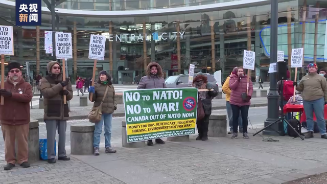 加拿大反战人士举行集会 他们打着“不要北约，不要战争”等标语