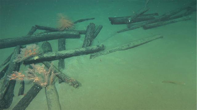 南海发现两处古代沉船 初步判断为明代弘治年间 现场图片曝光