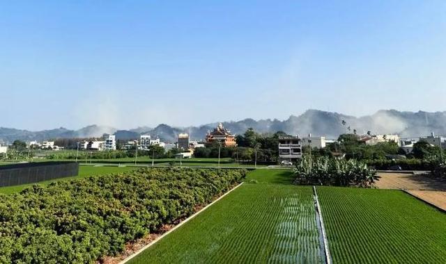在个人社交平台上po出一张地震当下九九峰山体部分崩落引发烟尘的照片