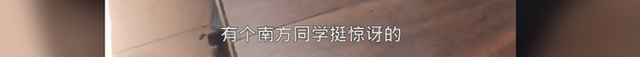 -14℃，东北大学生在宿舍用裤子切黄瓜，南方舍友当时都惊呆了