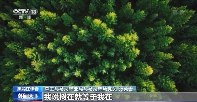 坚守46年造林百万株 共产党员张英善：“树在就等于我在”