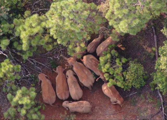 晚报|中方召回驻立陶宛大使 北京公布疫情溯源情况