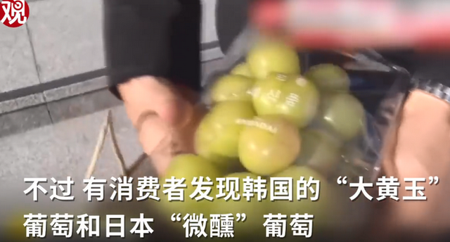 韩国果农偷日本葡萄品种后诡辩：日本也偷走韩国很多品种