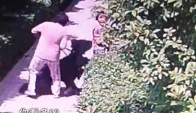 晚报|外交部深夜斥立陶宛、人民网点名辛巴郭美美