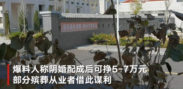 女主播喝药自杀骨灰被掉包配阴婚