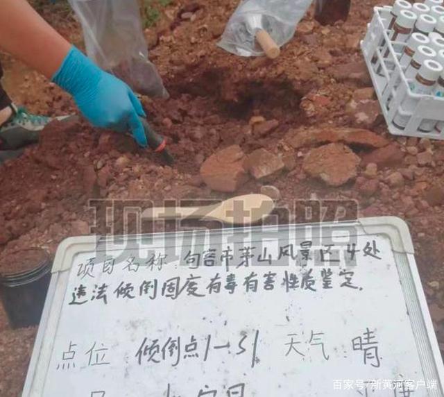 羊拱舔黄土堆后死去牵出环境污染案 非法倾倒了固体废物