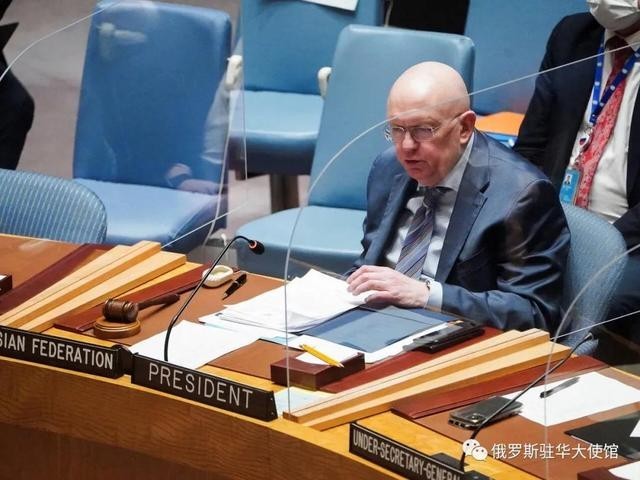 俄否决安理会乌克兰局势决议草案 中国投弃权票