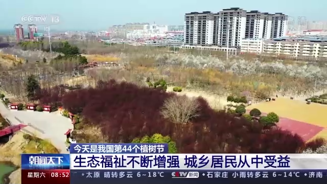 5006万亩！为了这个目标，一起“植”此青绿吧！