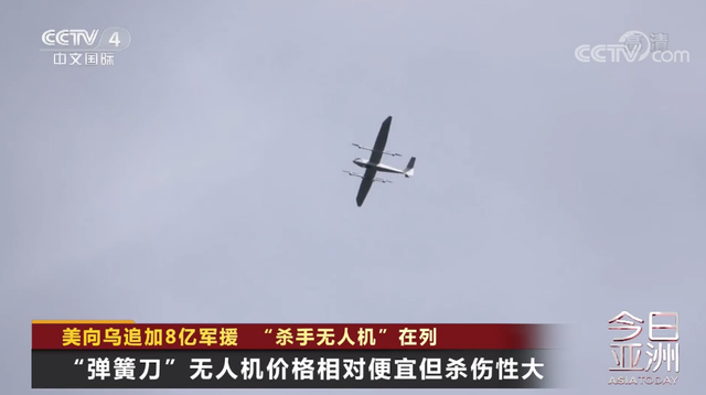 美向乌提供100架爆炸性无人机 “弹簧刀” 
