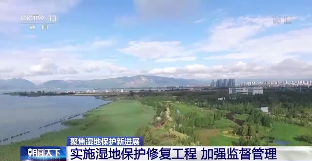 我国64处国际重要湿地保护取得显著成效 湿地调查监测体系初步形成_行业资讯_第8张_百科参考网 我国64处国际重要湿地保护取得显著成效 湿地调查监测体系初步形成_https://www.whai.cc_行业资讯_第8张