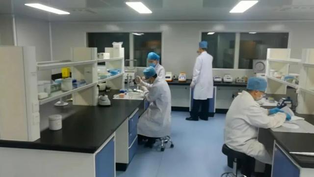 死刑！杭州杀妻碎尸案二审维持原判