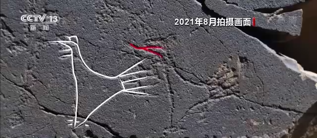 西藏考古发现大量岩画