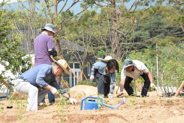 文在寅退休后下地种红薯 门外谴责抗议不断